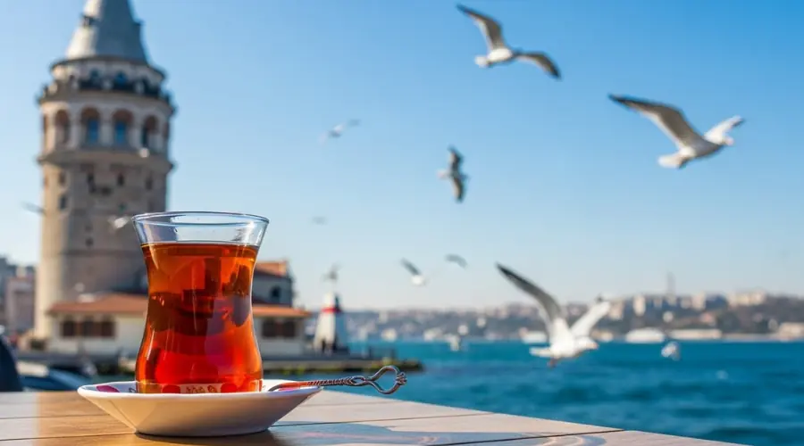 لذت نوشیدن چای ترکی با منظره برج گالاتا و تنگه بسفر